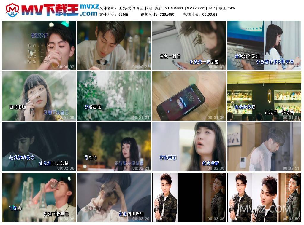 王昊-爱的话语_国语_流行_MD104003